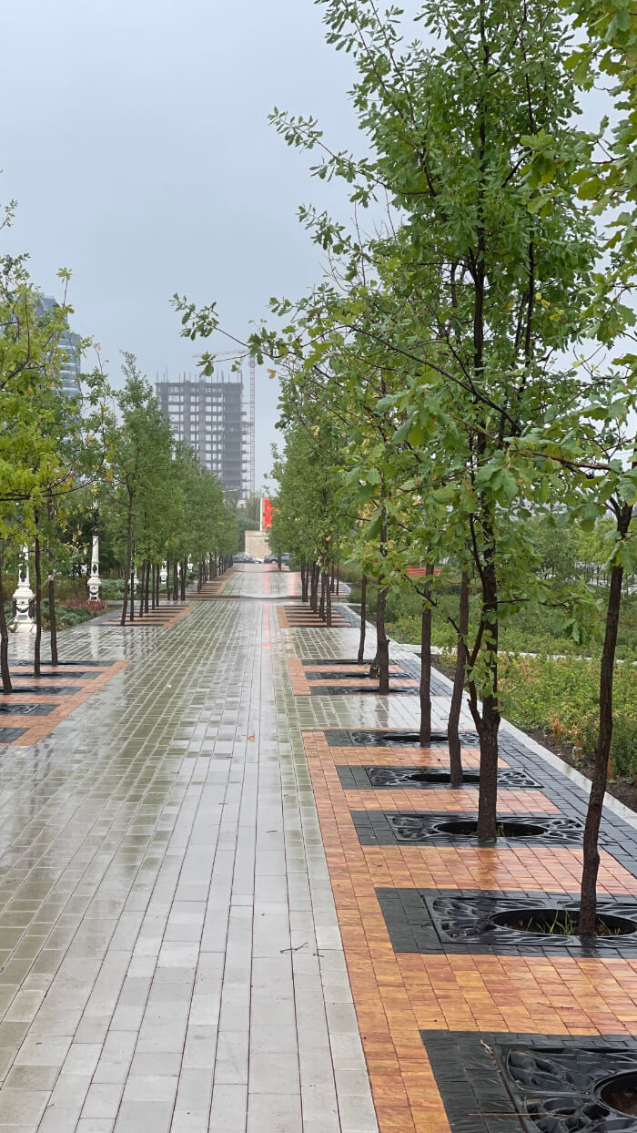 Приствольная решетка для дерева ZKING CRUST 1.2х1.2м Черная в Евпатории фото